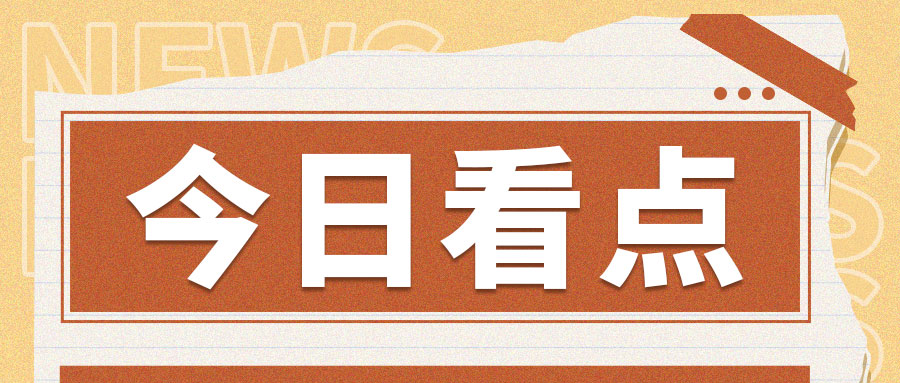 山东省市场监督管理局关于23批次食品不合格情况的通告2026年第7期（总第533期）