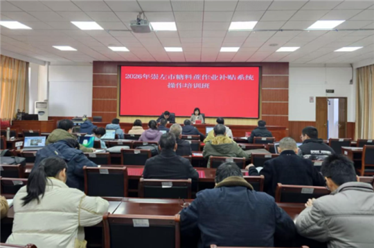 提速增效 崇左糖料蔗良法补贴申报稳步推进