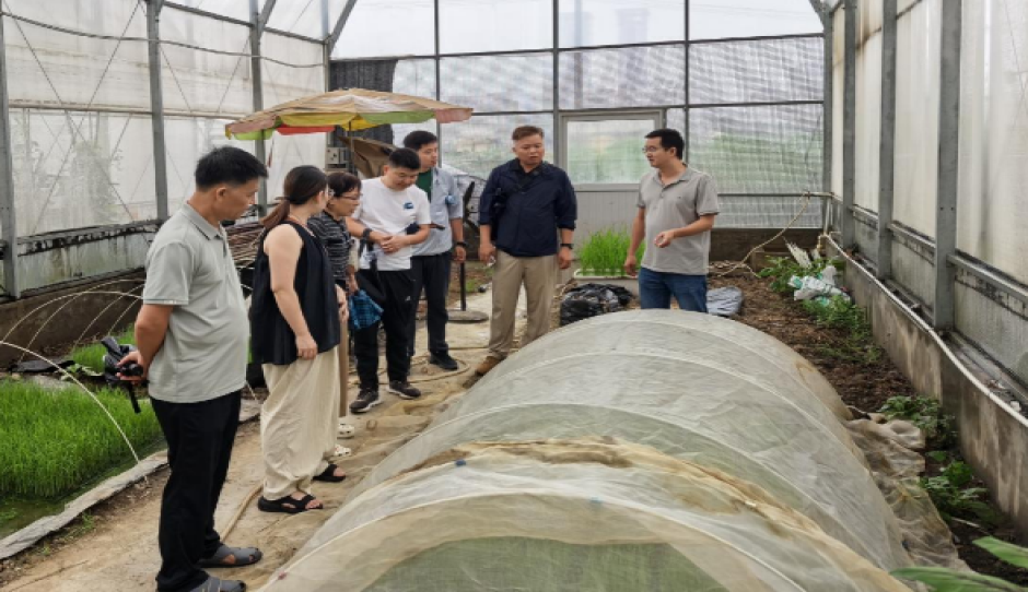崖州湾国家实验室专家到广西植保所开展合作交流