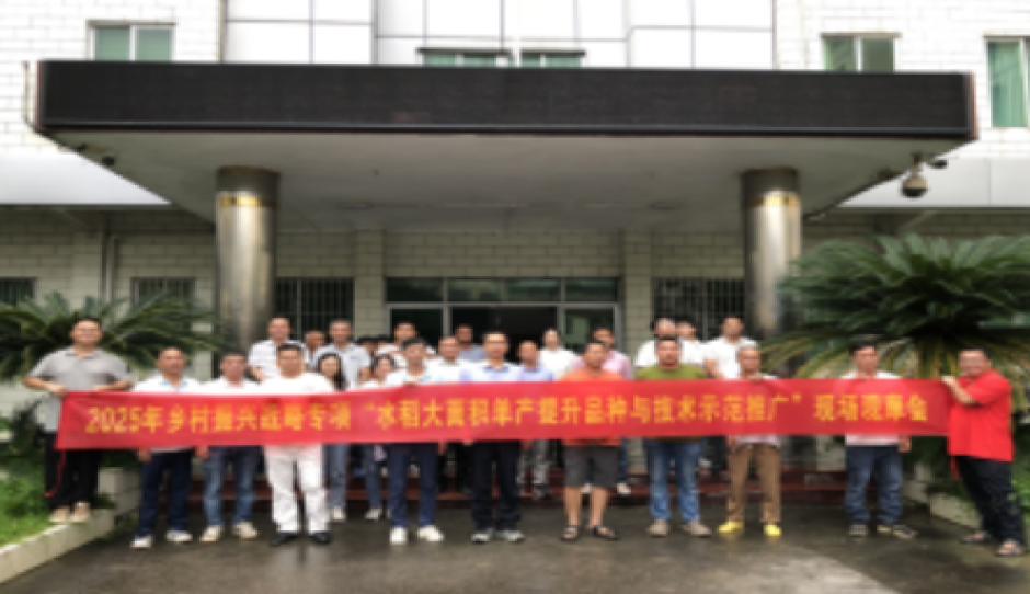 广东资环所组织召开“水稻大面积单产提升品种与技术示范推广”现场观摩会暨水稻高产栽培技术培训会